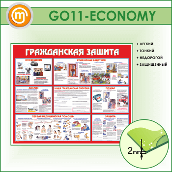 ����� ������������ ������ (GO-11-ECONOMY)