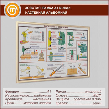 �������� ��������� ����� �Nielsen� �1 �������, ���������, ������� ������