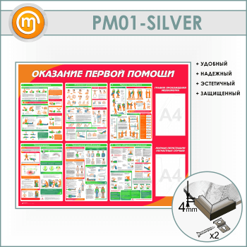 ����� ��������� ������ ������ � ������� � �������� ��������� (PM-01-SILVER)