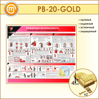 ����� ��������� ������������. ��������� �������� �������������� (PB-20-GOLD)