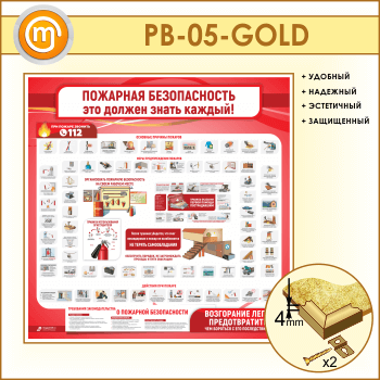 ����� ��������� ������������. ��� ������ ����� ������ (PB-05-GOLD)